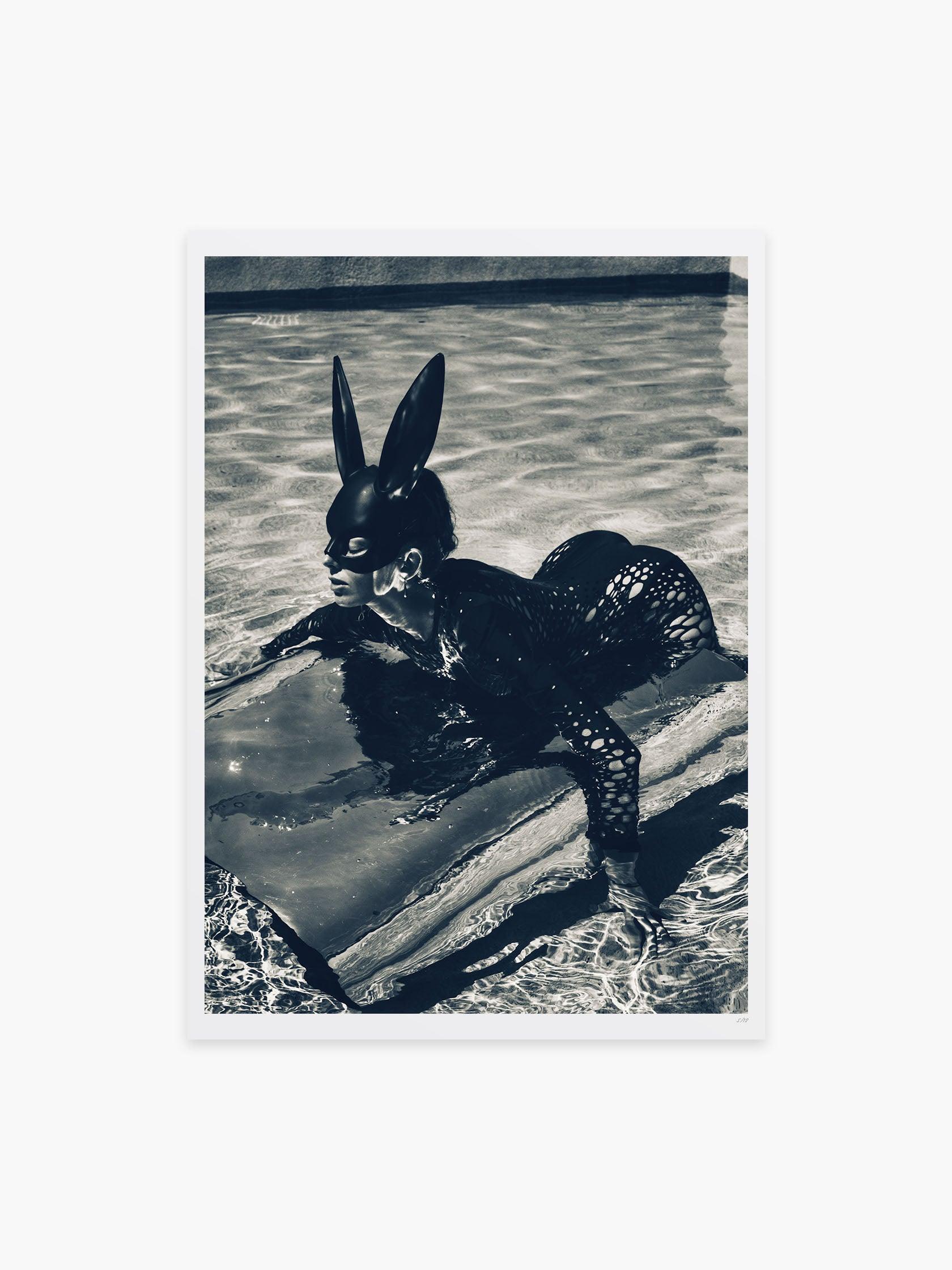 Cats Love Water by Vassilis Pitoulis - Mankovsky Gallery