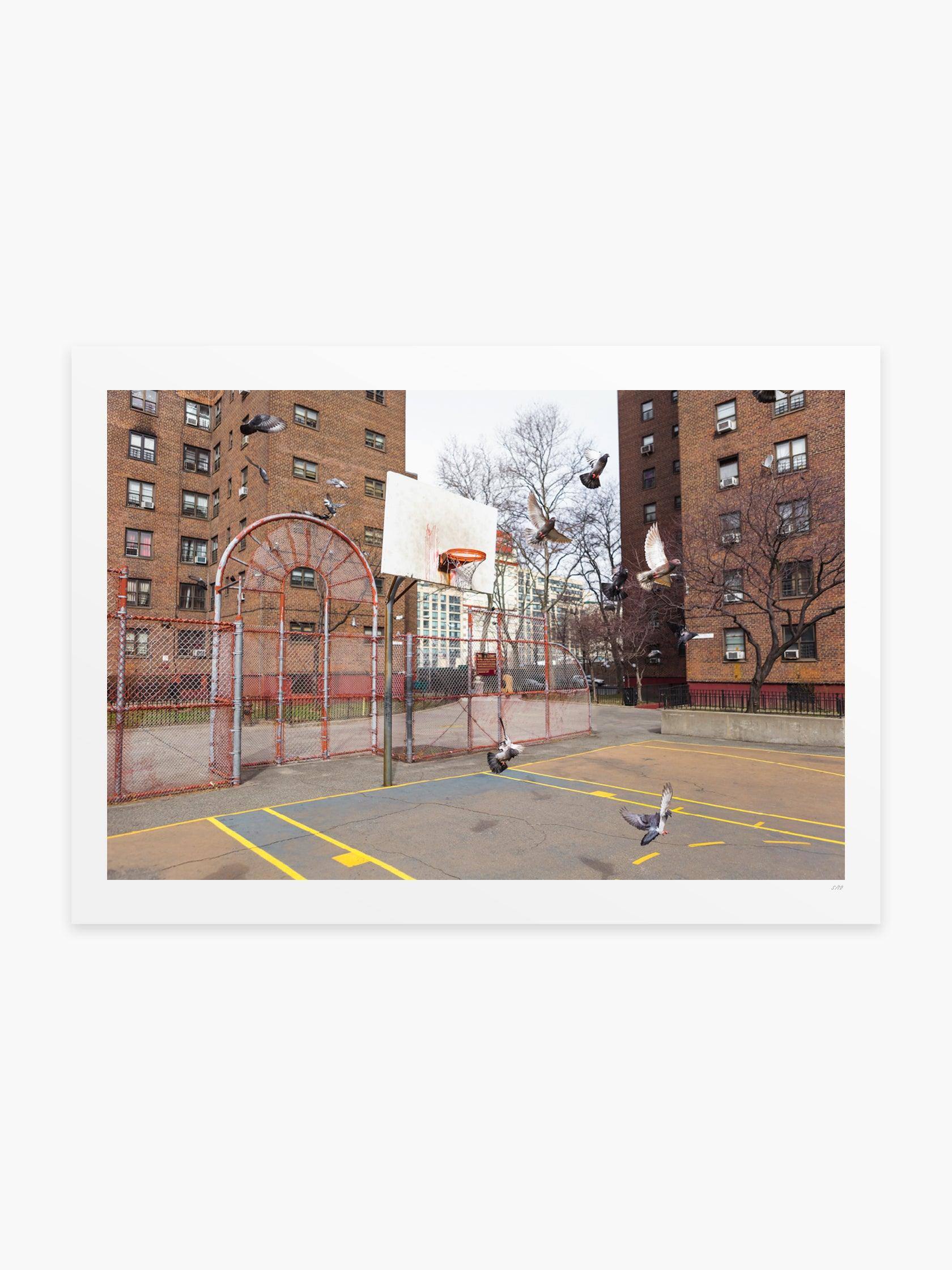 Brooklyn Jets by Kevin Couliau - Mankovsky Gallery
